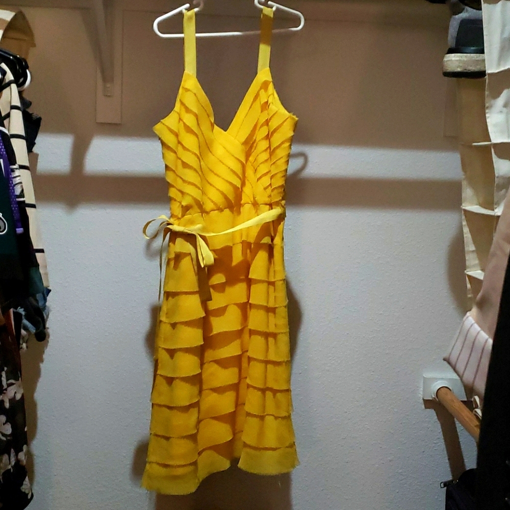 Nwt Arden B, xs Aspen Gold tiered chiffon dress